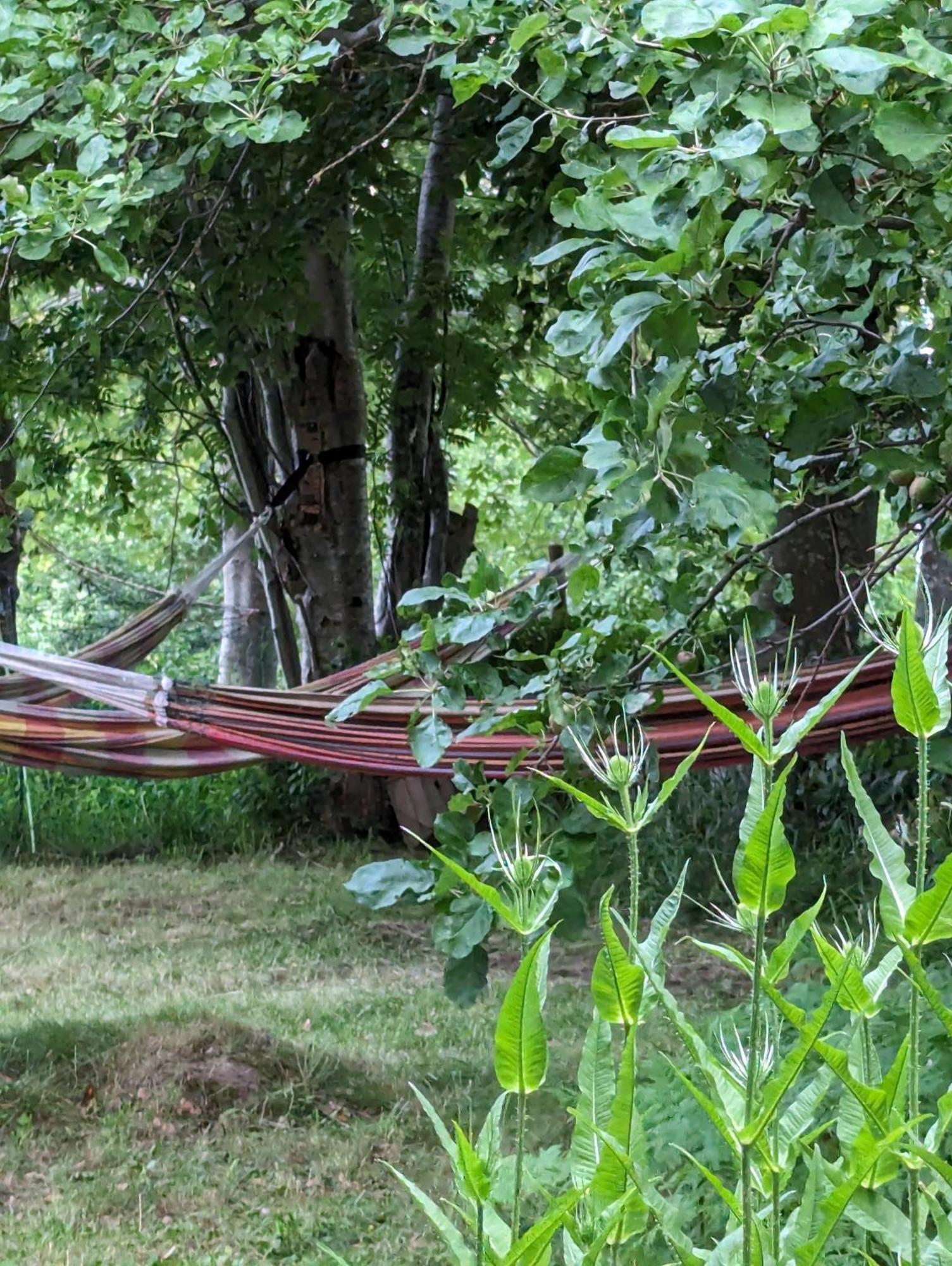 Lejlighed Ved Skov Graested Экстерьер фото